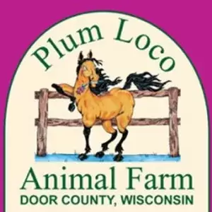 304_rs_w_600_h_300_cg_true_s550